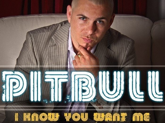 Pitbull_i_know_you_want_me cover