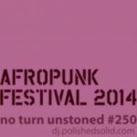 DJ Polished Solid: AFROPUNK FESTIVAL 2014 Mix (No Turn Unstoned #250)