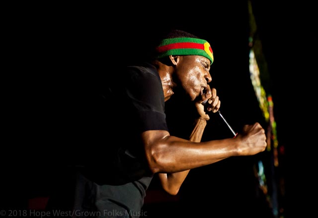 Doug E. Fresh moves the crowd at the Old School Hip Hop Fest