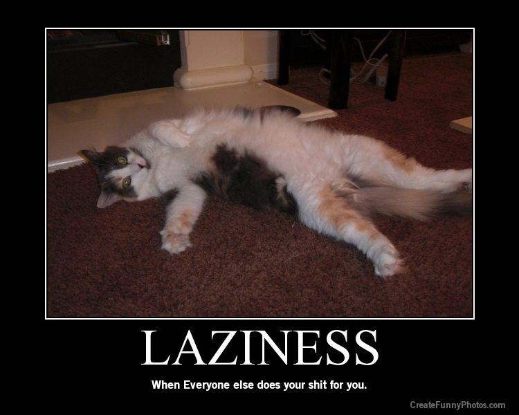 Laziness